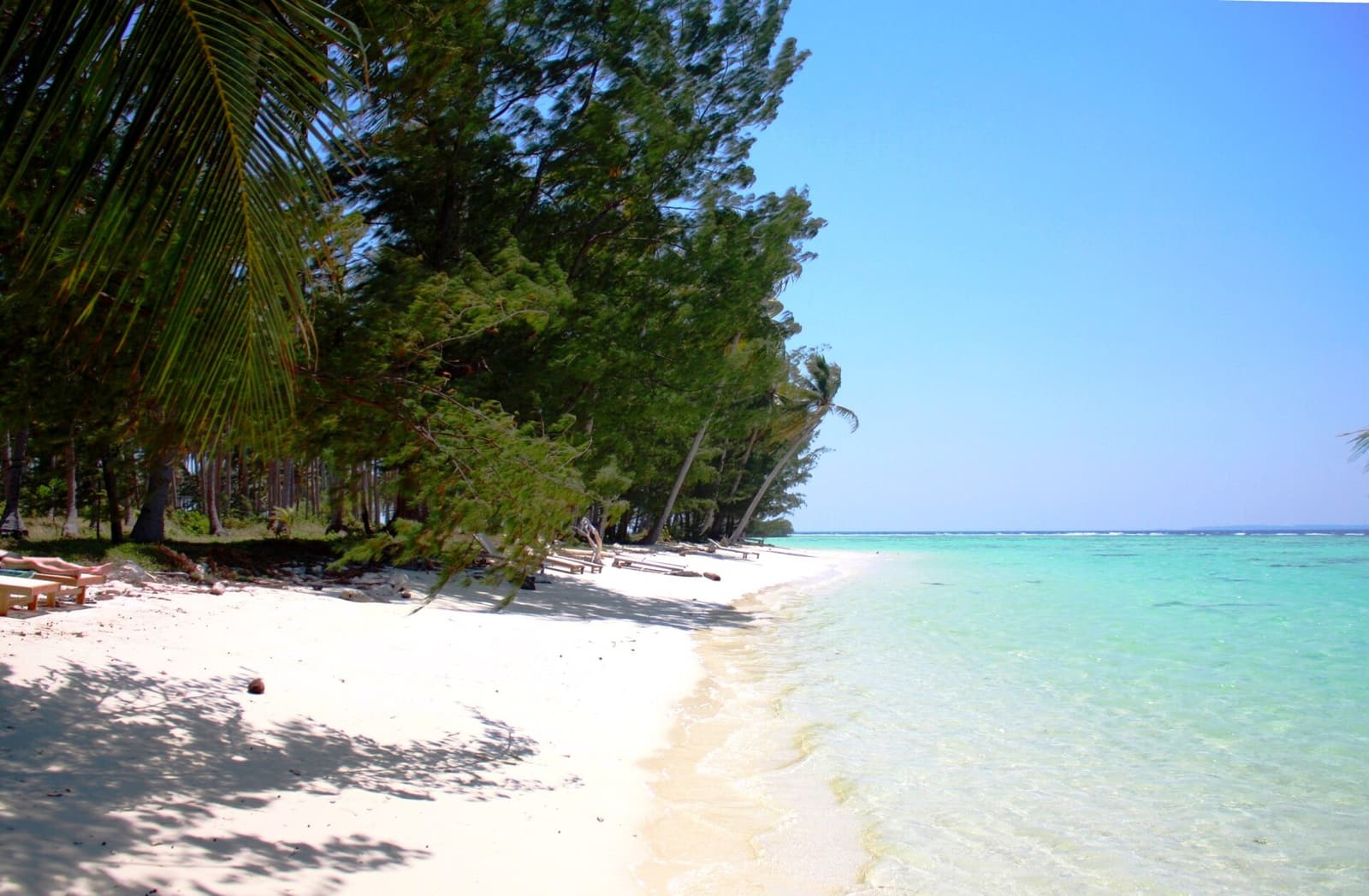 A white-sand beach with trees and turquoise water in the Karimunjawa islands