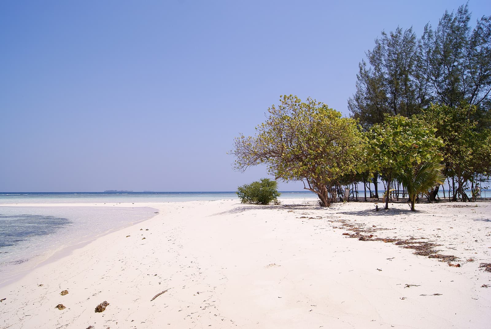 White sand and casuarina trees on Cemara Kecil island, Karimunjawa