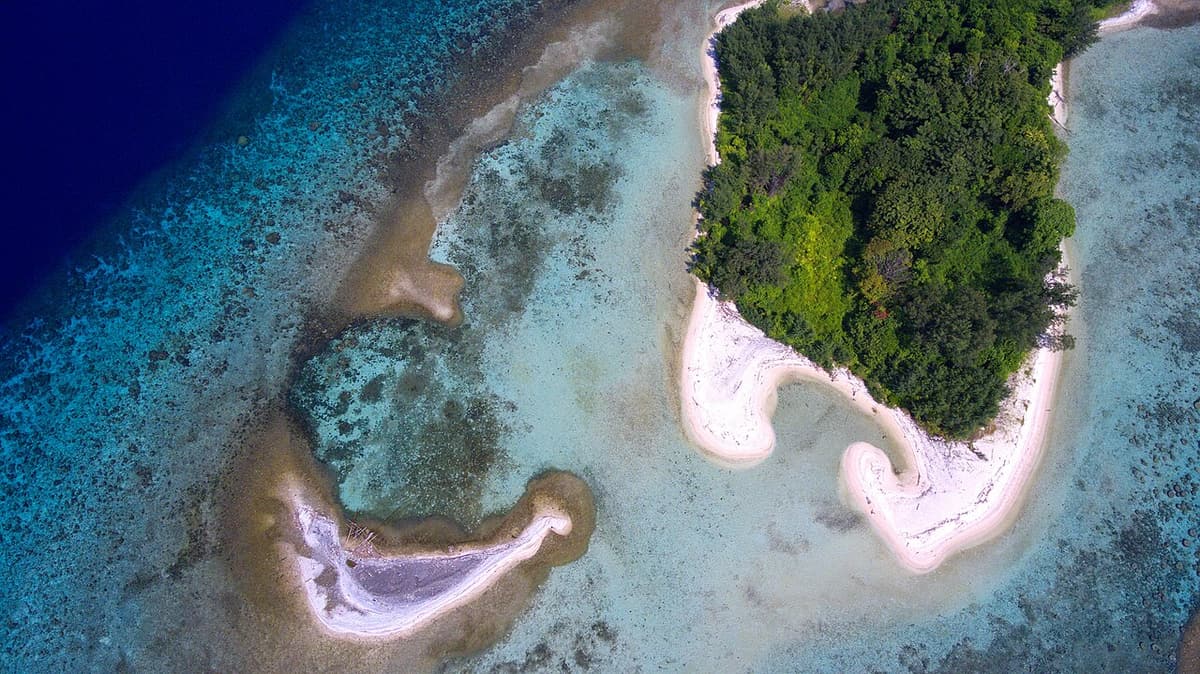 Aerial view of a small forested island ringed by sandbars and reef in Karimunjawa National Park