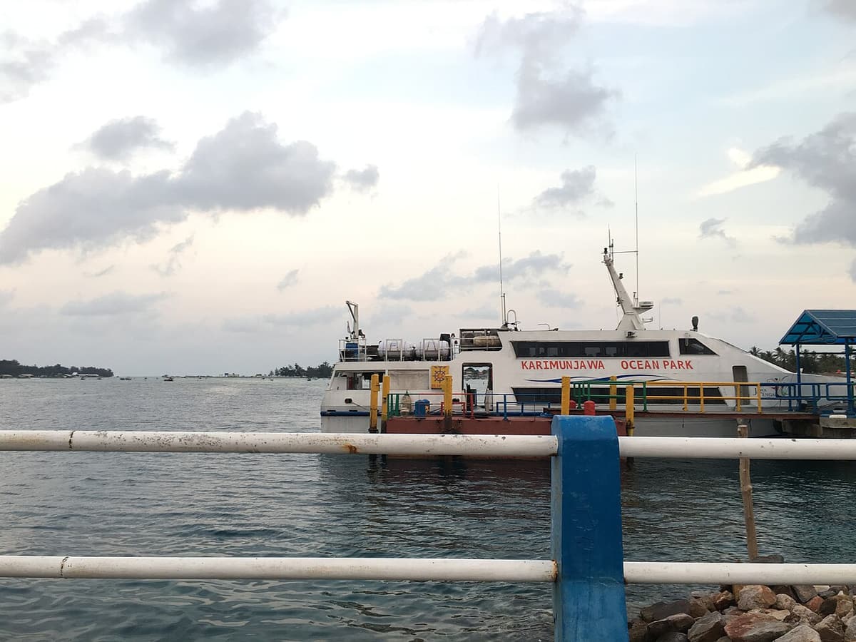 A passenger ferry moored at a pier under a cloudy sky