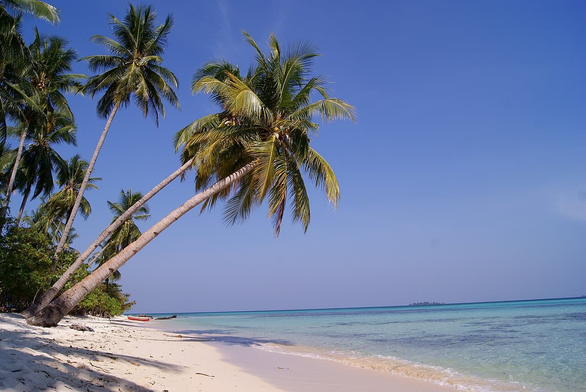Coconut palms leaning over the white sand of Ujung Gelam beach, Karimunjawa